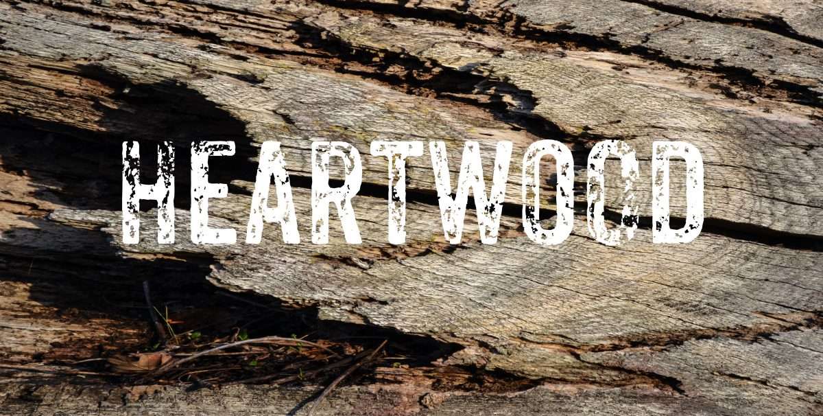Heartwood Image